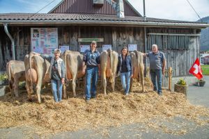 A90 SARA-ET  CH 120.1106.2954.9 Diethelm Paul 793007 hsuAR8I2317